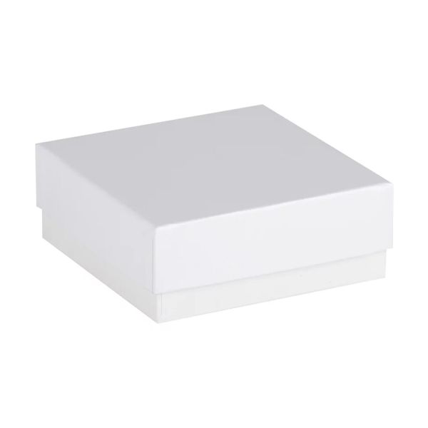ratiolab® Cryo Box, 133 x 133 x 50 mm, cardboard, plastic coated, 10 pieces