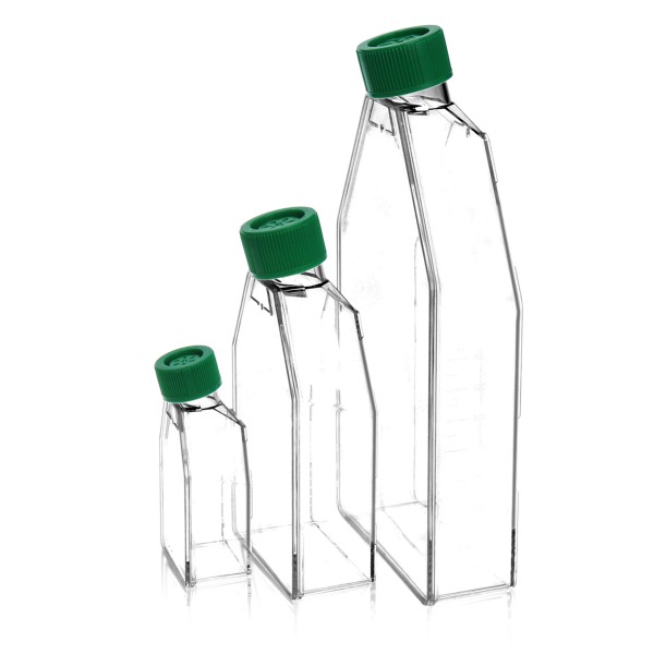 Cell culture flasks, 50 mL