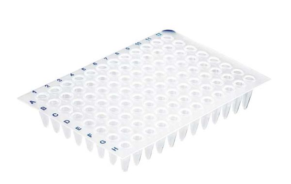 PCR plate, 96-well, without frame standard profile, colorless, PP, DNase-/RNase, DNA-free, 50 pcs.