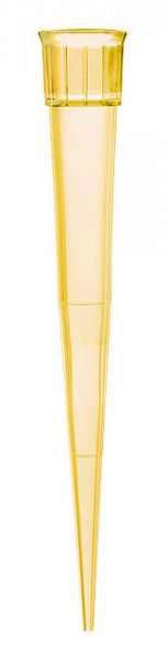 Pipette_tip_2-200_yellow