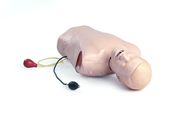 Deluxe Difficult Airway Trainer