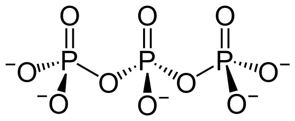 Sodium Polyphosphate, 1 kg