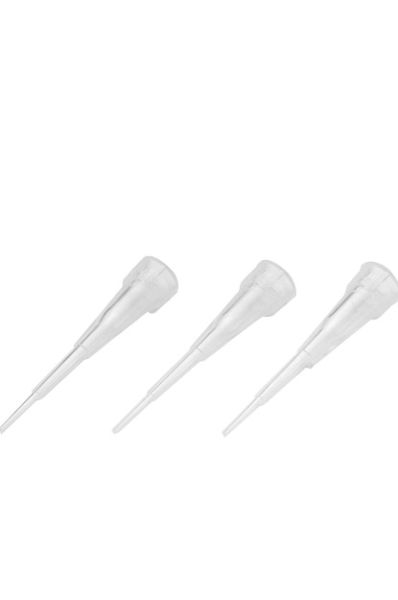 Pipettenspitzen, 1.000 - 5.000 µL, PP, lose, klar, 300 Stück