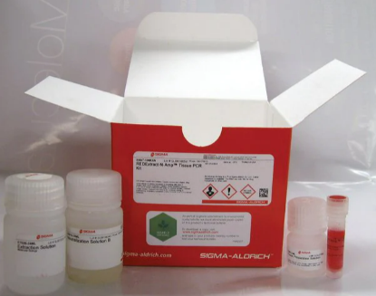 REDExtract-N-AmpT Gewebe-PCR-Kit, 100 Stück