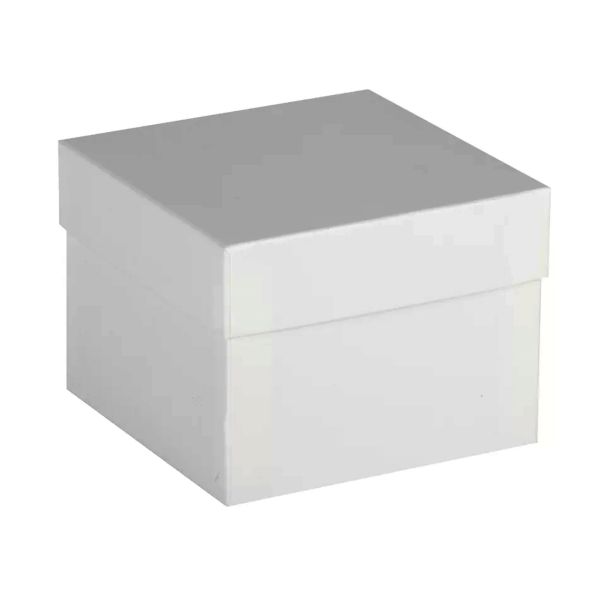 Ratiolab_Kryobox_5132001