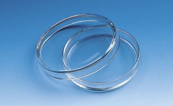 Petri dishes, 40 x 12 mm, soda-lime glass
