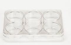 Nunc™ Cell-Culture Treated Multidishes